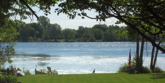 My 'Lake of Shining Waters' , Rideau River