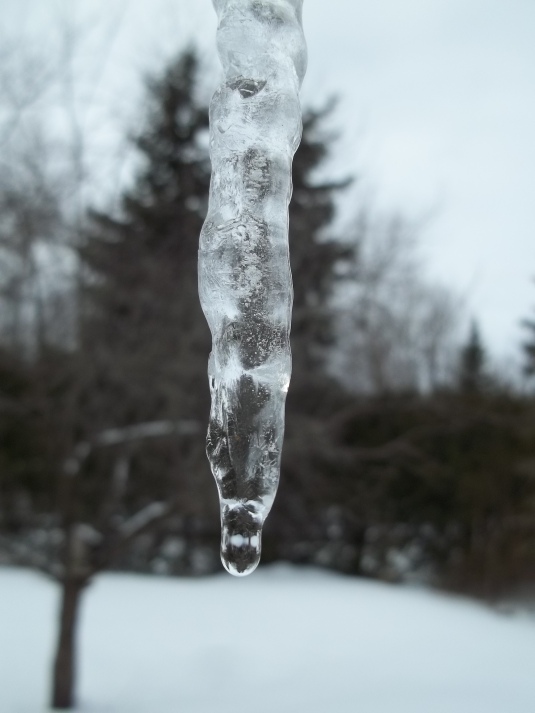 Dripping Icicle