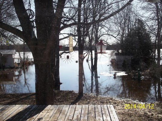 April 12, 2014 Backyard Flood